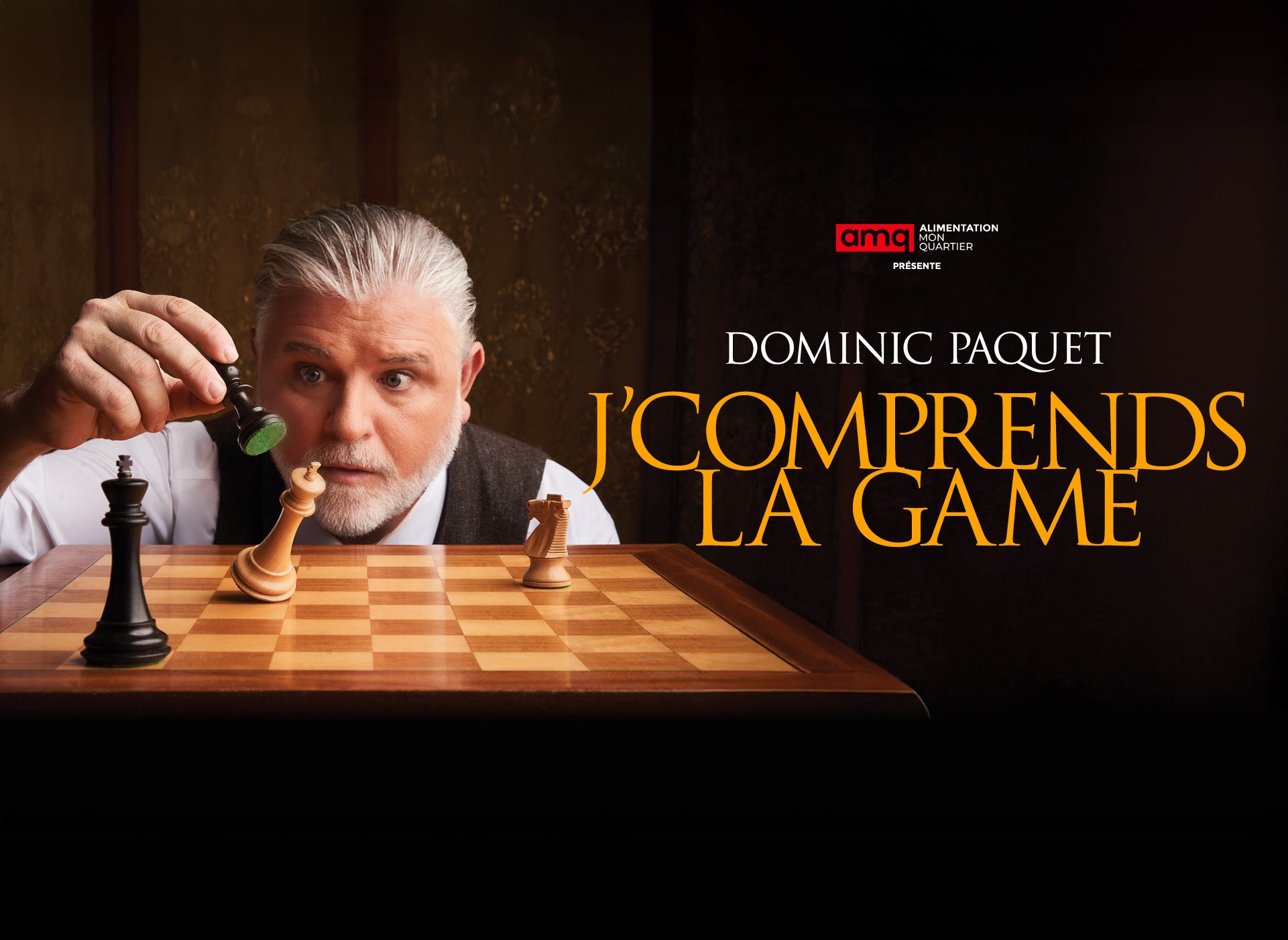 Dominic Paquet en spectacle à la Salle Albert-Rousseau.