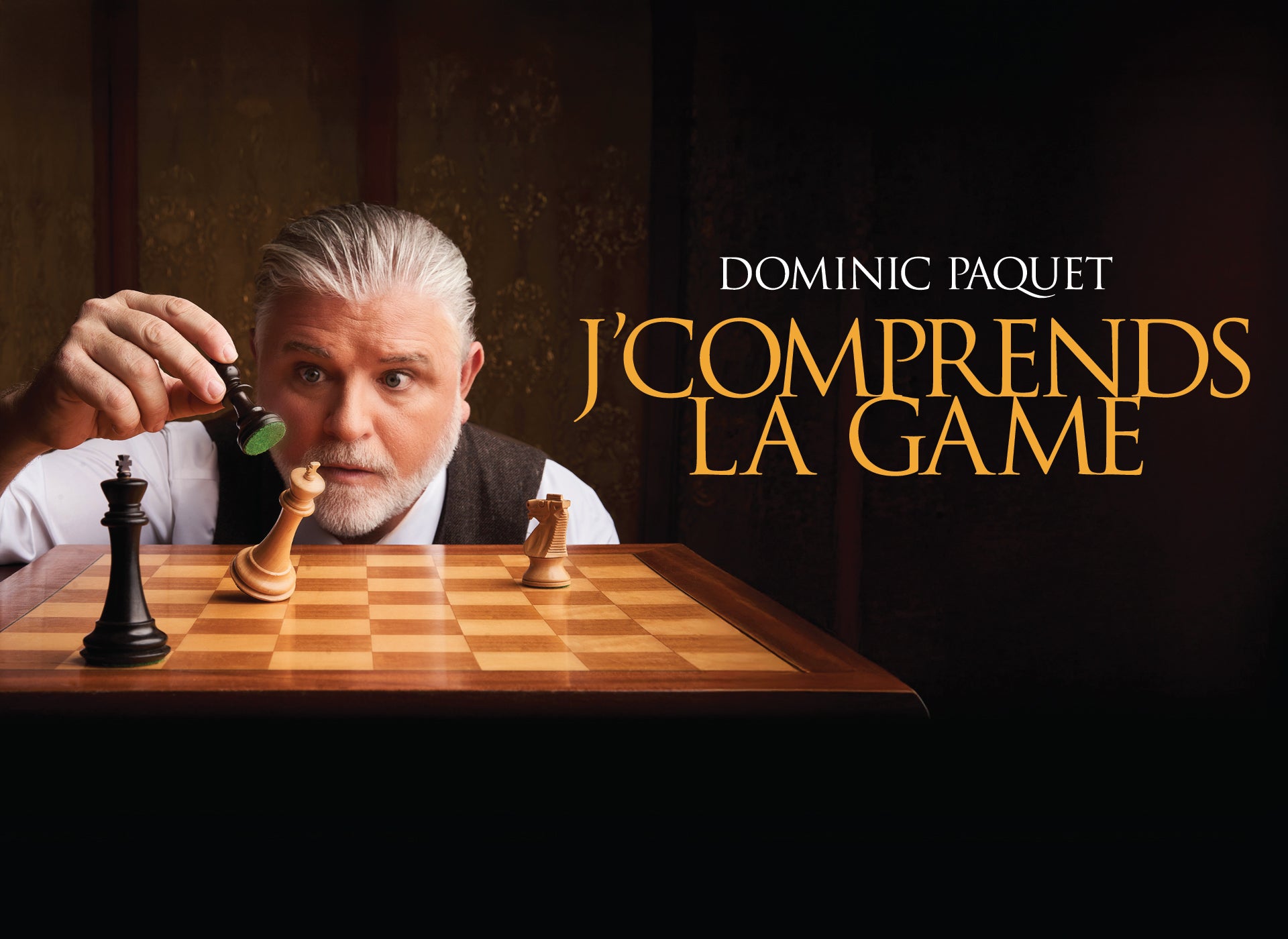 Dominic Paquet en spectacle à la Salle Albert-Rousseau.